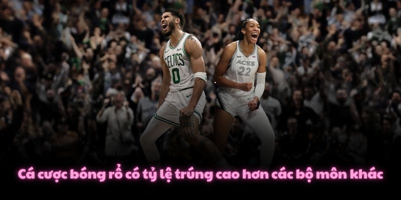 Cách Cá Cược Bóng Rổ Cơ Bản Và Các Loại Kèo Hấp Dẫn Nhất 2 Cá cược bóng rổ có tỷ lệ trúng cao hơn các bộ môn khác