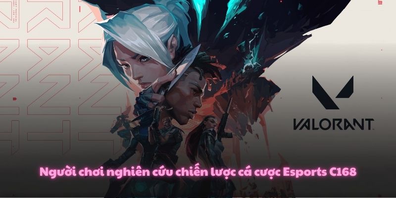 Esports C168 – Nền Tảng Cá Cược Điện Tử Đỉnh Cao 4 Người chơi nghiên cứu chiến lược cá cược Esports C168